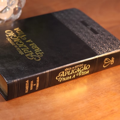 image_0f24a40f-c5b4-4125-8432-418a72ab9bfb