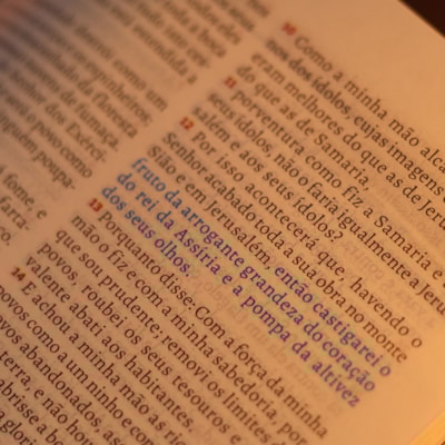 image_1dccab2e-d910-42e2-92c5-a633b963220a