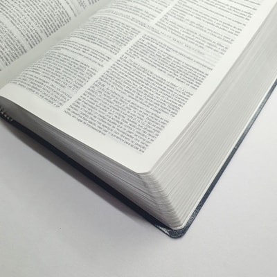 image_6362f59f-4f7b-4bd8-aa01-4753c3ad9008