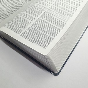Bíblia de Estudo Aplicação Pessoal Grande | Letra Normal ARC | Azul e Prata