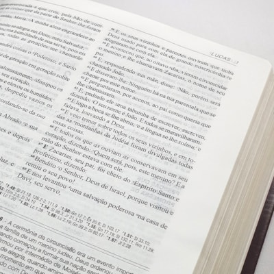 image_d97a9f66-227a-4690-86b8-a2478addc469