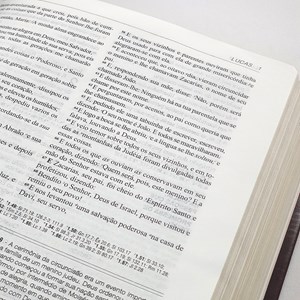 Bíblia de Estudo Aplicação Pessoal Grande | Letra Normal ARC | Marrom