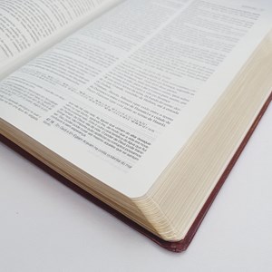 Bíblia de Estudo Aplicação Pessoal Grande | Letra Normal ARC | Vinho e Dourado