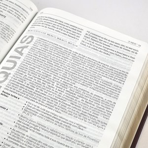 Bíblia de Estudo Aplicação Pessoal Média | Letra Normal ARC | Marrom