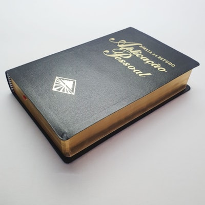 image_82e8d3ad-569d-4f86-b702-cf745e6da4bf