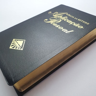 image_120bf124-125b-4030-9a63-9a3b124f7df4