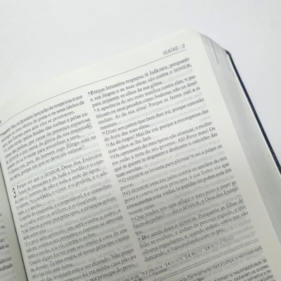 image_60ebbf36-4ec7-453d-8ec9-0a472c1a7b2a