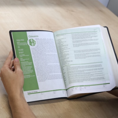 image_ec7a9f03-31f2-4a30-afc9-0107ec1c2ea4