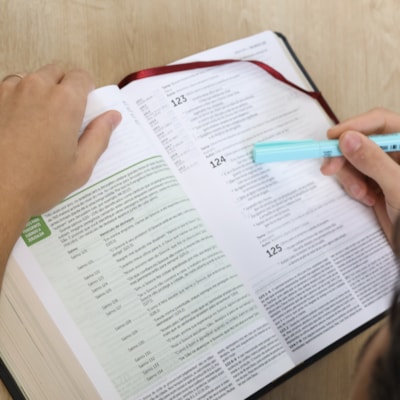 image_7291b43f-92b1-4d87-996c-efc382c02c12