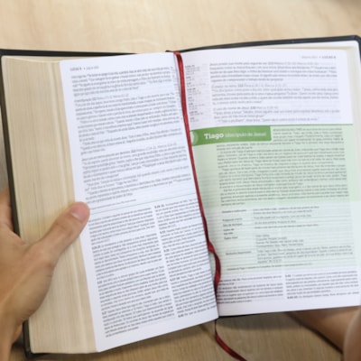 image_32800772-bb29-4529-bab7-e183fed4a437