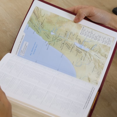 image_437c3516-a678-463d-901a-e397bebb88cc