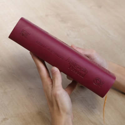 image_4996b169-ef26-4638-ad38-263d3985c33d