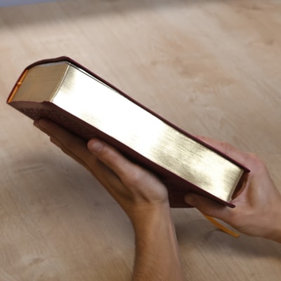 image_cf9da980-fbf8-4af2-bb65-692757fc1481