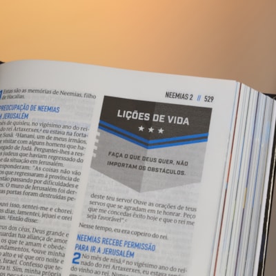 image_3f46821d-ba92-4238-88d6-7cf09237d581