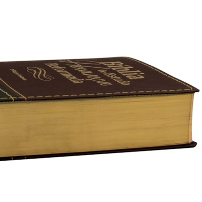 image_0b20b52d-62cc-49bf-a335-ed332dcce084