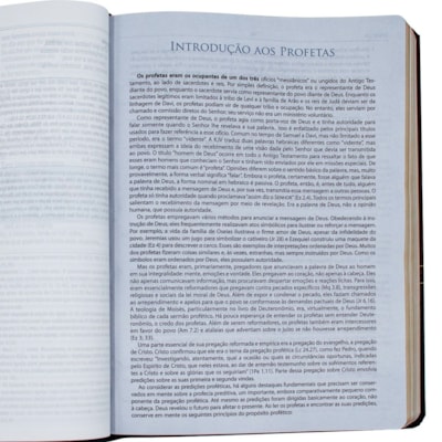 image_c2179a34-a91f-456c-97ae-45598c75c7ac