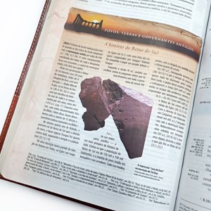 Bíblia de Estudo Arqueológica | NVI Letra Normal | Luxo Marrom