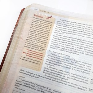 Bíblia de Estudo Arqueológica | NVI Letra Normal | Luxo Marrom
