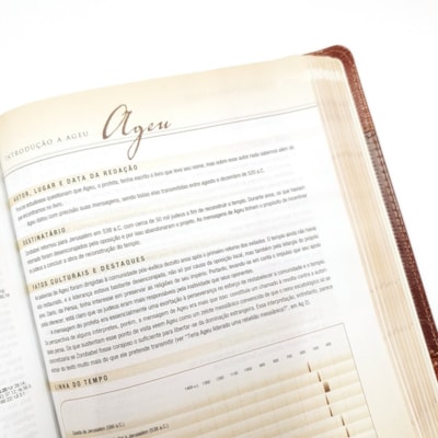 image_ffd83ddd-4bba-4a1d-8691-5e06ca4d2d43