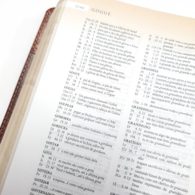 image_1b5bb247-309b-43ec-895c-4a7bc6abe2e2