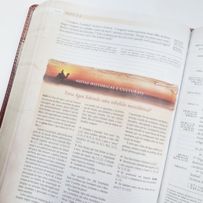 image_6bd762a5-4f5a-49d2-a49d-894c834ad6c8