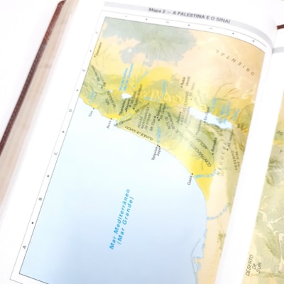 image_8a767b64-d97b-44e6-a154-879f9c9f3af8