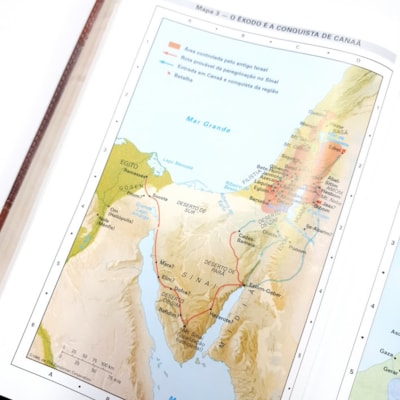 image_0a253624-97af-4e64-8a96-496d3647a5f0