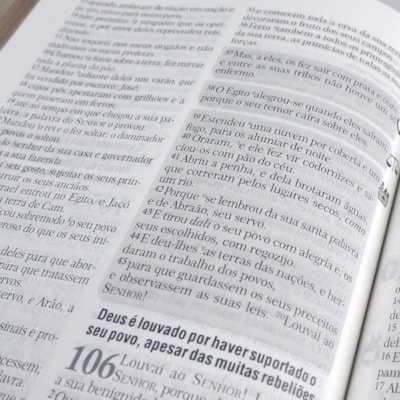 image_ac696f86-5b5b-4ca9-b047-c649f9f1f413