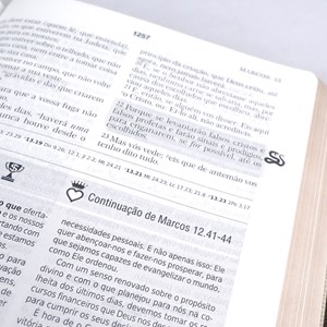 Bíblia de Estudo | Batalha Espiritual e Vitória Financeira | ARC | Capa Luxo Bege