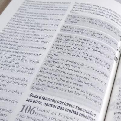 image_17e73271-d1d8-4923-881a-44fdf6412d64