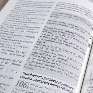 Bíblia de Estudo | Batalha Espiritual e Vitória Financeira | ARC | Capa Luxo Flores Preta