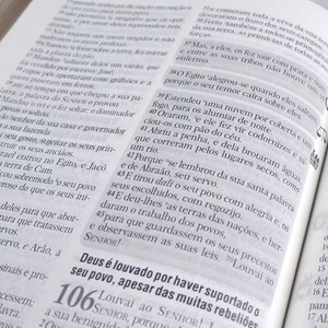 Bíblia de Estudo | Batalha Espiritual e Vitória Financeira | ARC | Capa Luxo Marrom