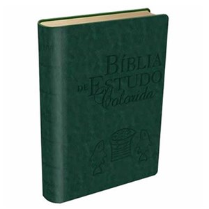Bíblia de Estudo Colorida | Letra Grande | NVI | Capa Verde