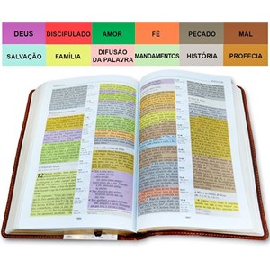 Bíblia de Estudo Colorida | Letra Grande | NVI | Vinho