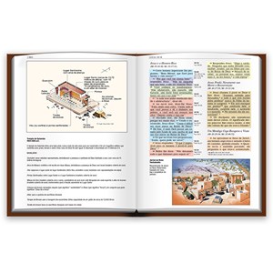 Bíblia de Estudo Colorida | Letra Grande | NVI | Vinho