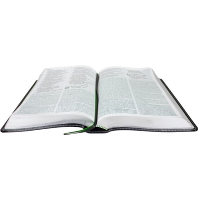 image_70ba8c6d-65de-4e42-849d-1642d767ef39