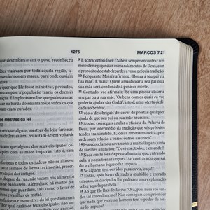 Bíblia de Estudo Cristo em Toda a Escritura | KJA | Petra