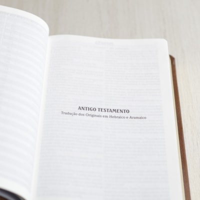 image_8d202243-1007-4587-9f5e-547bffe3a791