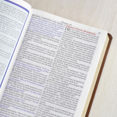 image_3b0755ce-ebf6-44bb-a82b-5353ce52397b