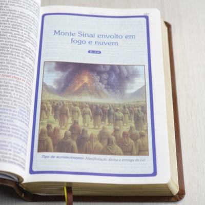 image_c8eac0e0-7e29-45d4-b72d-6c19b03160f6