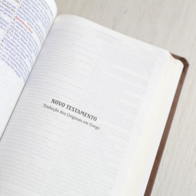 image_e2c8d68a-2c94-4f99-8eb4-ab7dc514b28e