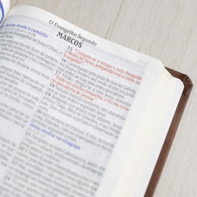 image_2ee980ac-b948-42ef-8e59-d5bc8db2df33