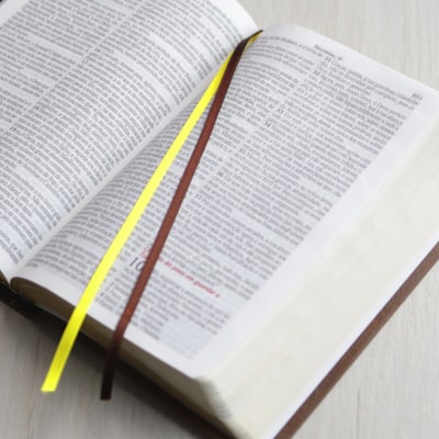 image_8b552273-1956-431a-b504-7ab64c44639d