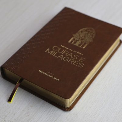 image_38cf9ed8-bdf7-43fc-befe-0a5a3365ecc0