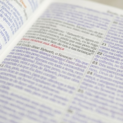 image_da3f894b-348e-4e5a-87bd-c80d2baae581