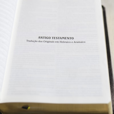 image_c893782c-446f-4ce8-b041-9810ab6a1756