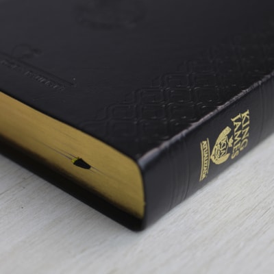 image_05a50fcc-55b4-4442-b94d-4f53570f0043