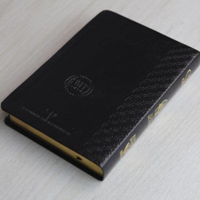 image_fa73d71c-7661-4c87-8e2e-217ba83d5c6e