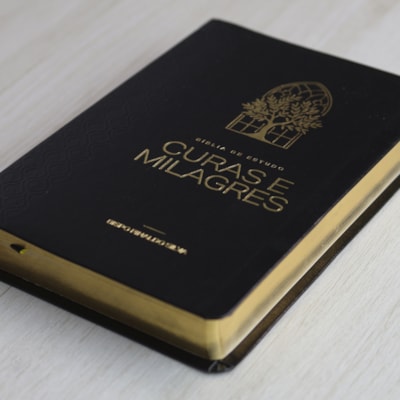 image_b2e07924-5701-4add-9871-1e5f6e91c86a