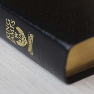 image_ee5909d9-5d18-423a-b6bc-336e1a6200a1